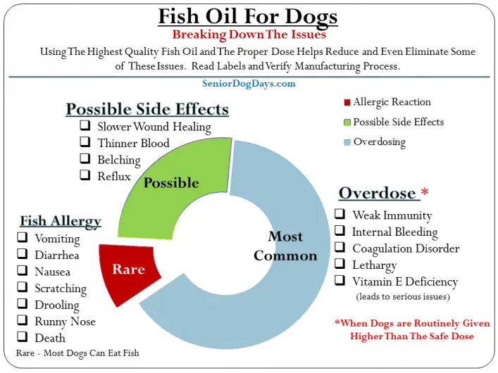 fish oil for dogs side effects vs fish oil overdose for dogs vs fish oil allergic reactions