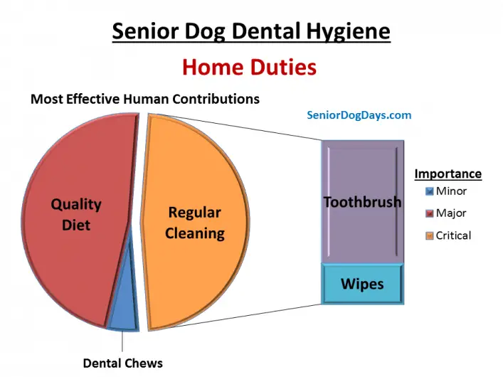 Chart explaining How to clean a dog's teeth at home and how to get rid of senior dog bad breath.  It charts diy dog dental wipes and toothbrush importance.