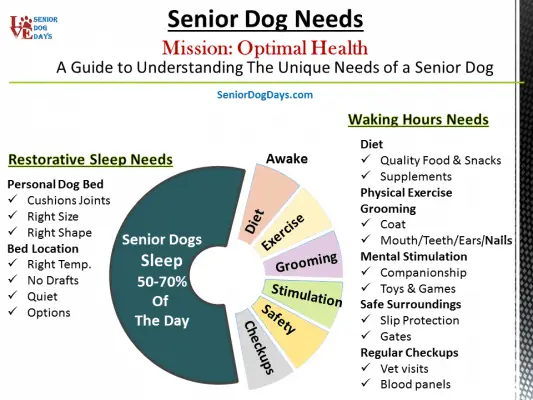 Senior Dog Needs Explained with this chart.  A senior dog sleeps 12-16 hours per day so they need a dog bed for sure. A senior dog also has specific needs when it comes to diet, exercise, grooming, stimulation, a safe home and regular checkups. 