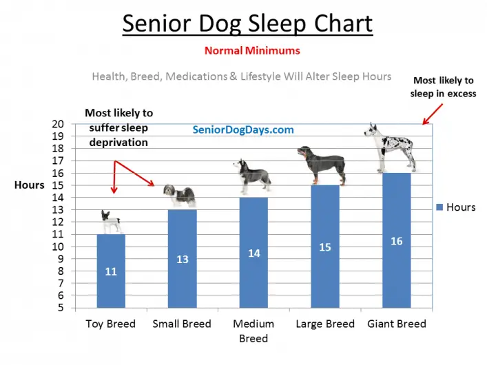 Senior Dog Deep Sleep Chart