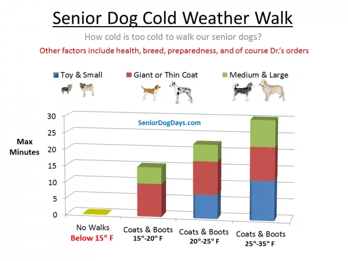 Is it too cold to walk a senior dog?  How cold is too cold to walk an older dog. This chart shows when it's too cold to walk a senior dog.