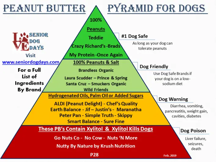 which peanut butters are safe for dogs and which peanut butters contain xylitol. This is a peanut butter list by brand that shows what is safe or deadly to dogs.