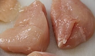 best organic raw dog food