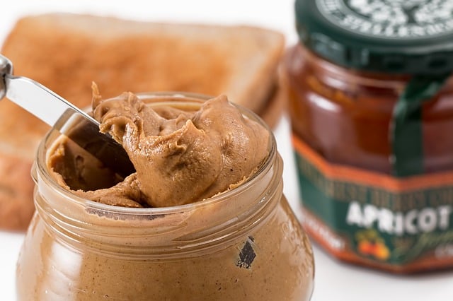 is regular peanut butter good for dogs