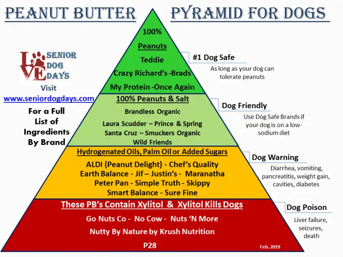 jif creamy peanut butter safe for dogs