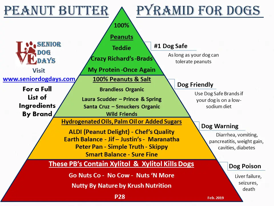 Best Peanut Butter for Dogs - image and info graphic of safe peanut butter for dogs list. this list shows which peanut butter brands are safe for dogs and which peanut butter brands contain xylitol or other harmful ingredients.