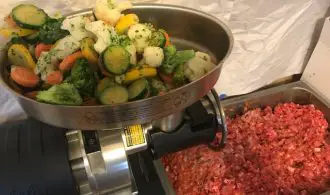 image of raw dog food preparation. All the raw meat was put through the grinder and now the vegetables will be added.
