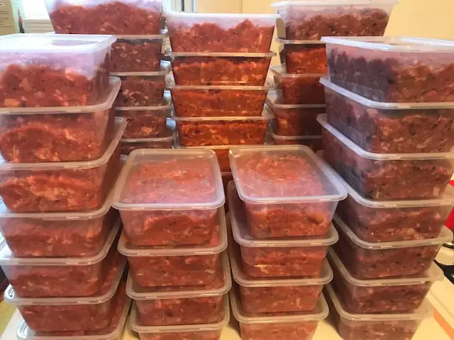 Image shows one month's worth of homemade raw dog food stacked in containers ready to freeze