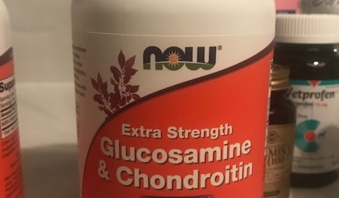 Image of Glucosamine and Chondroitin Now Brand. This is human grade but I've been giving it to my dog for joint relief since he was six years old