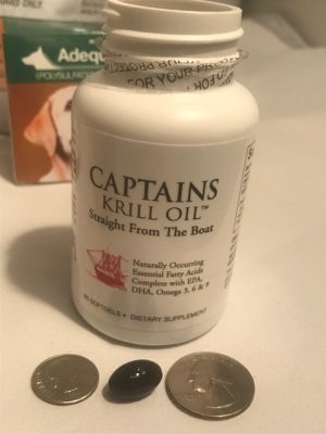 Image of Captains Krill Omega 3 Oil which I give my dog for joints and arthritis. This shows the bottle and the krill softgel capsule size compared to a quarter