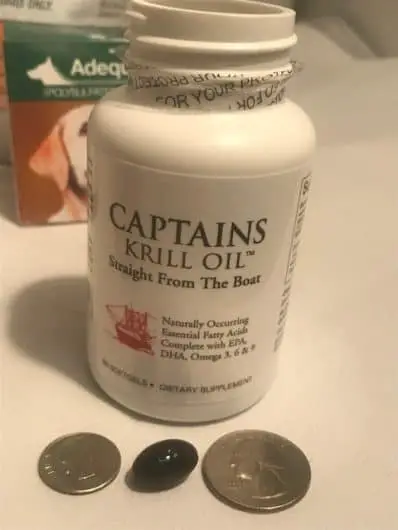 Image of Captains Krill Omega 3 Oil which I give my dog for joints and arthritis. This shows the bottle and the krill softgel capsule size compared to a quarter