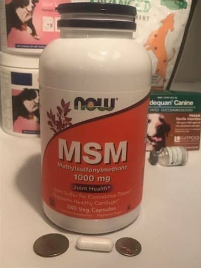 Image of MSM capsule for dogs. Dogs can be given human supplements such as msm. This shows the size of the msm capsule as compared to a quarter.