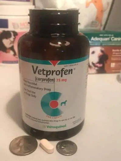 Image of vetprofen I give my senior dog as needed for arthritis pain. vetprofin is the same as carprofen and helps give dogs relief from arthritis pain.