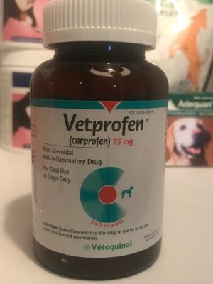 image of a bottle of vetprofen which is the same as carprofen and used alleviate a dog's pain from arthritis.