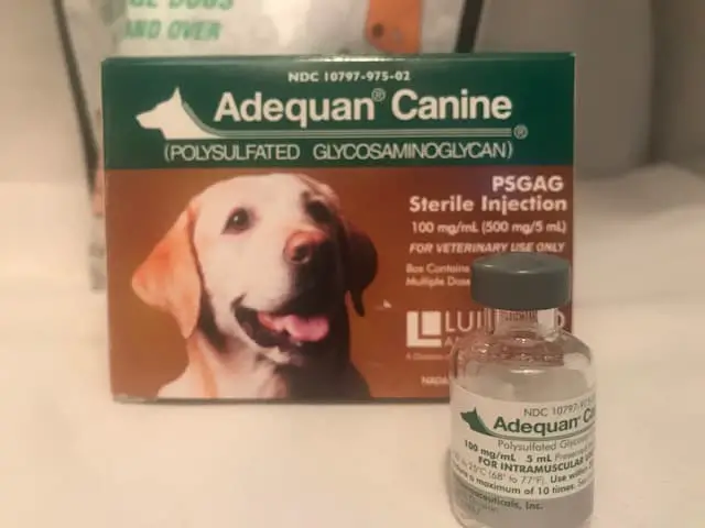 Image of Adequan for Senior dogs to help with arthritis. My dog get Adequan injections once a month and they relieve arthritis pain and symptoms.