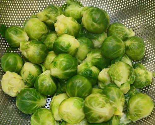 is brussel sprouts safe for dogs