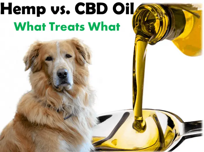 Hemp Seed Oil vs CBD Oil for Dogs: Chart (Skin, Pain ...