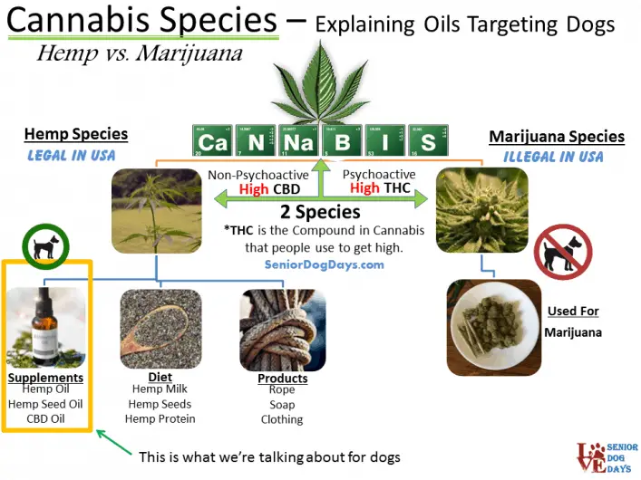 Will CBD Oil Make a Dog High? 
Follow this Flowchart Diagram to see the difference between  Hemp and Marijuana and how CBD oil for dogs is produced. It will not make your dog high.