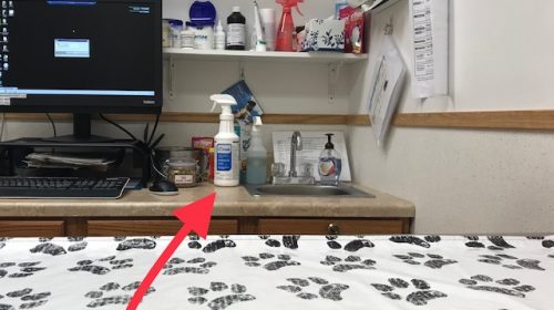 image of veterinarians office with rescue disinfectant for killing canine parvo and other pathogens between pet clients