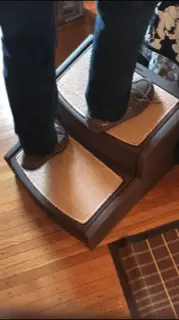 image shows pet gear steps with human standing on them to show strength