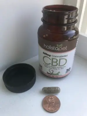 size of holistapet CBD pills for dogs with mobility issues
