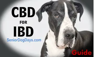 CBD for Dogs with IBD Product Review