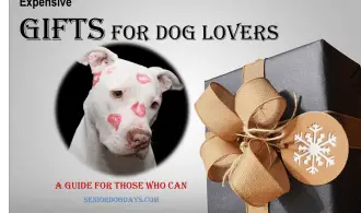 expensive gift for dog lovers review of what every dog owner wants but cannot afford.