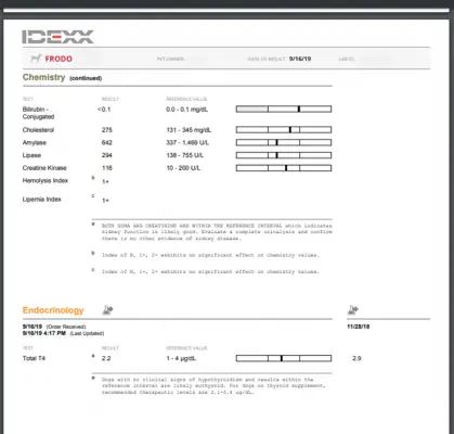 Sample Blood Report of Senior Dog - complete blood panel printout.