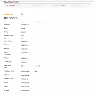 what does a dog urinalysis report look like and this image shows what the dog urine is tested for.