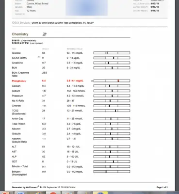 Sample Picture Lab Report of a Dog's Complete Blood Panel and Cost to perform.