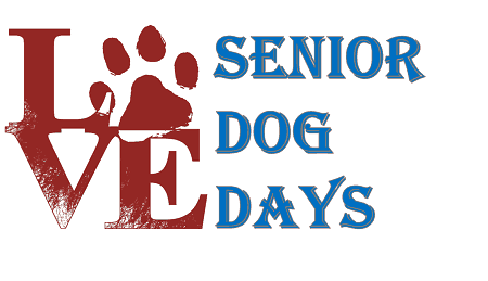 senior dog care everything you need to know about taking care of a senior dog at home