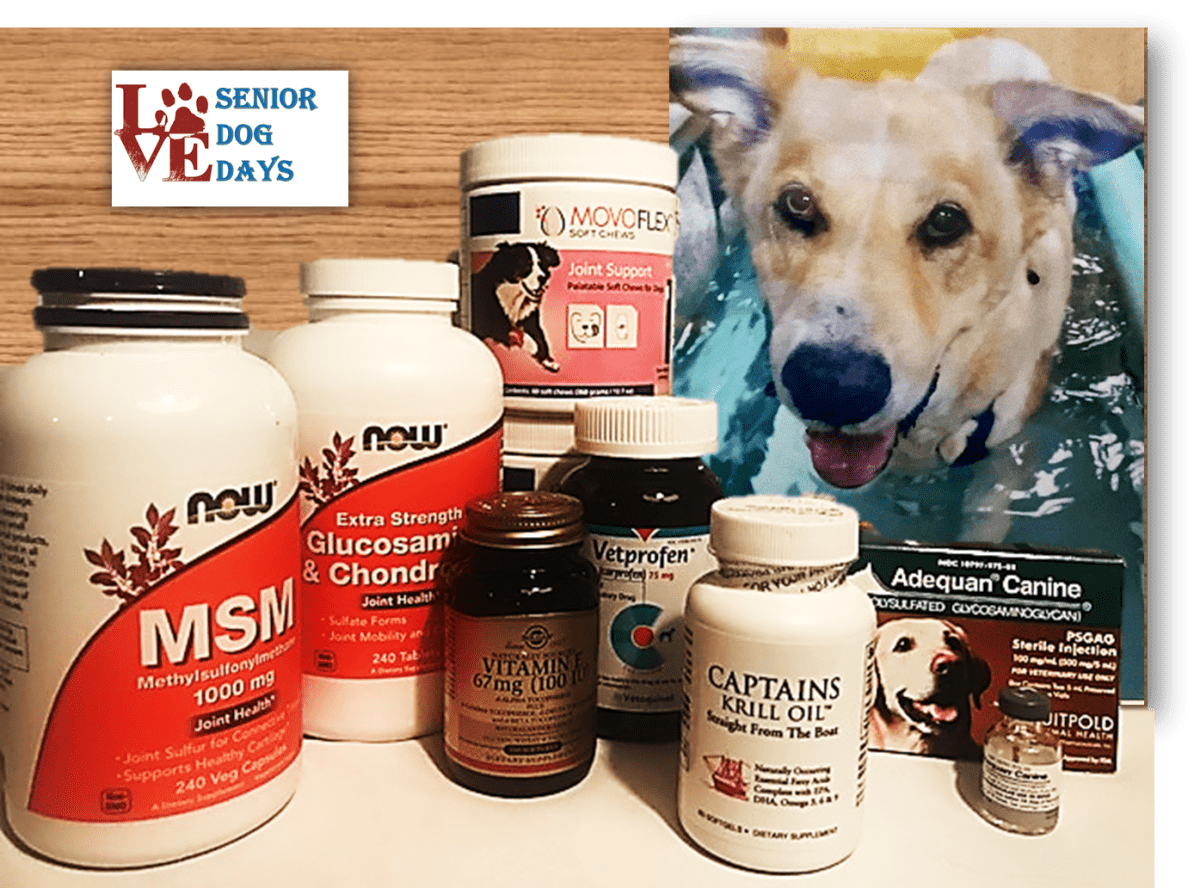 arthritis dog supplements pros cons