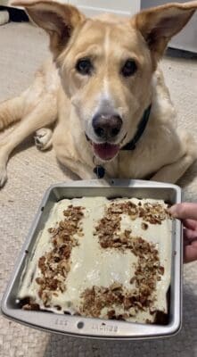 15 year old senior dog birthday